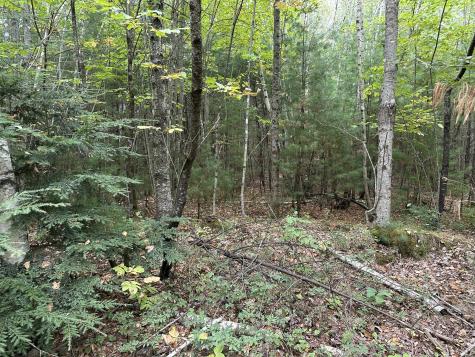 M40 L13-7 Mallard Road Madison ME 04950