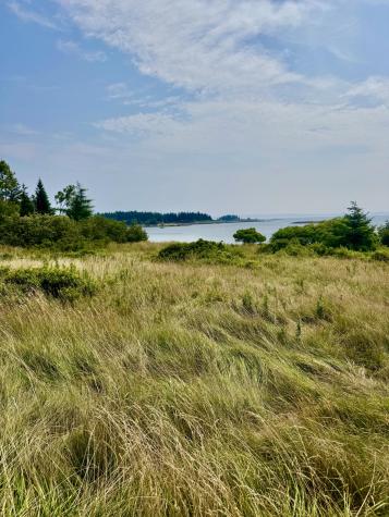 Lot #5 George Wright Road Vinalhaven ME 04863