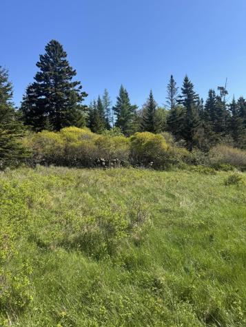 Lot #5 George Wright Road Vinalhaven ME 04863