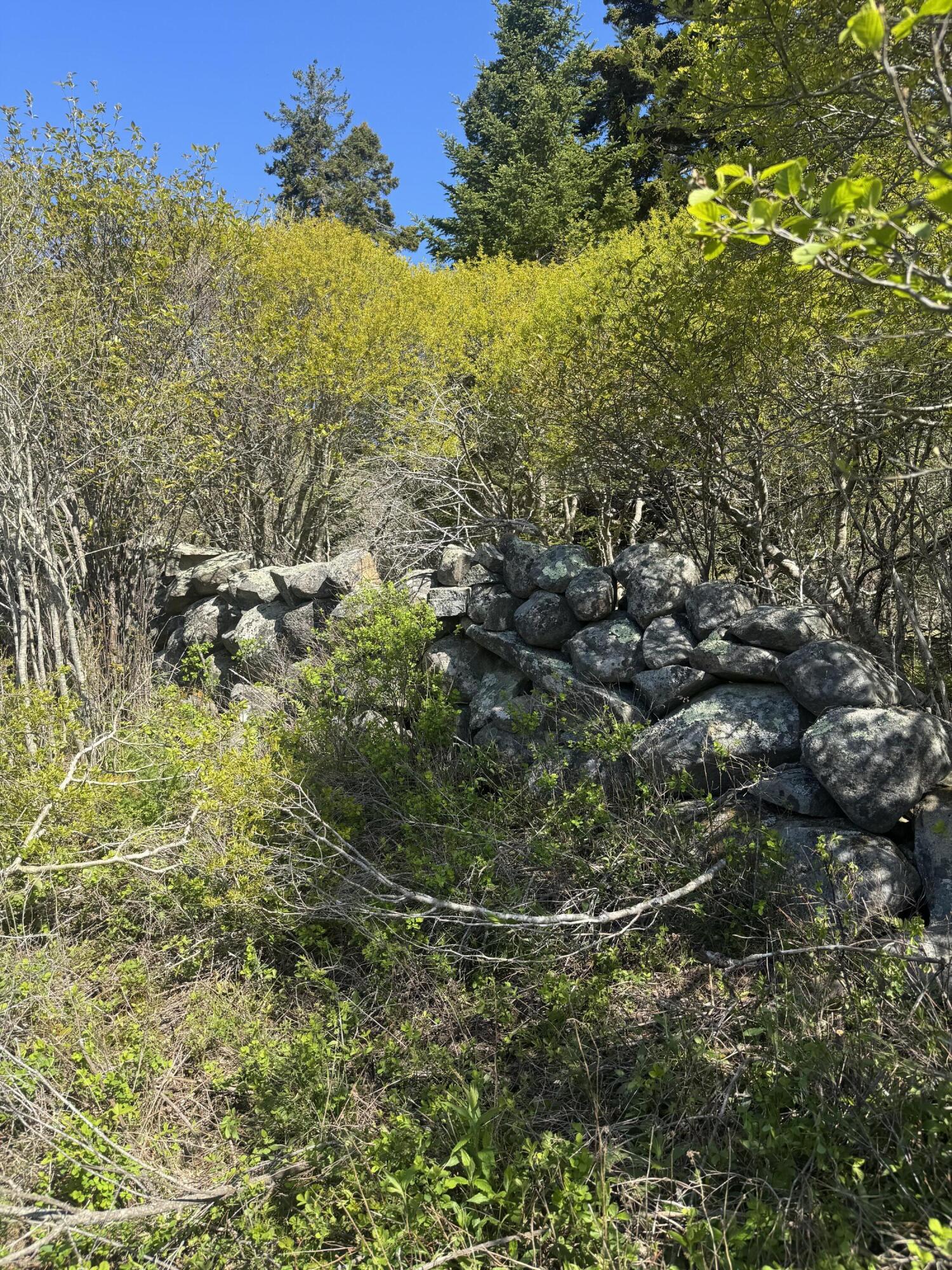 Lot #5 George Wright Road Vinalhaven ME 04863