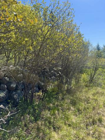 Lot #5 George Wright Road Vinalhaven ME 04863