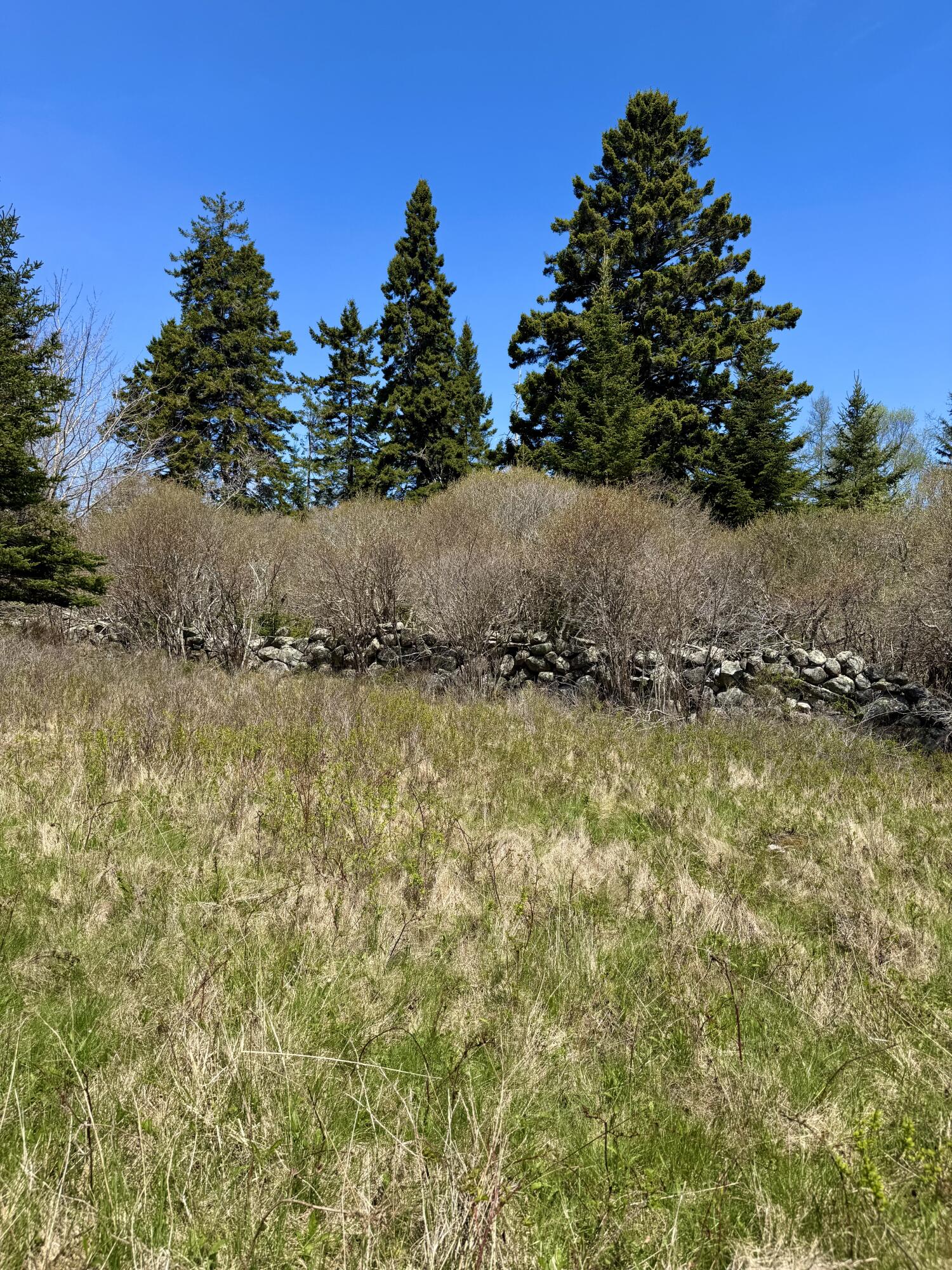 Lot #5 George Wright Road Vinalhaven ME 04863