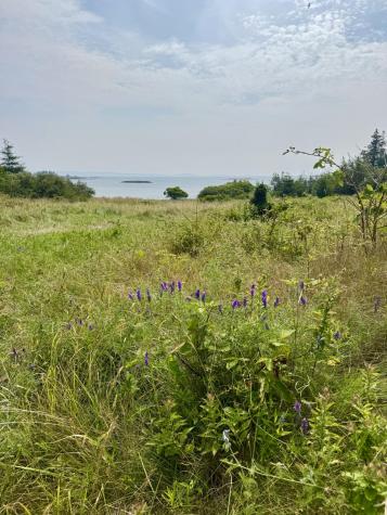 Lot #5 George Wright Road Vinalhaven ME 04863