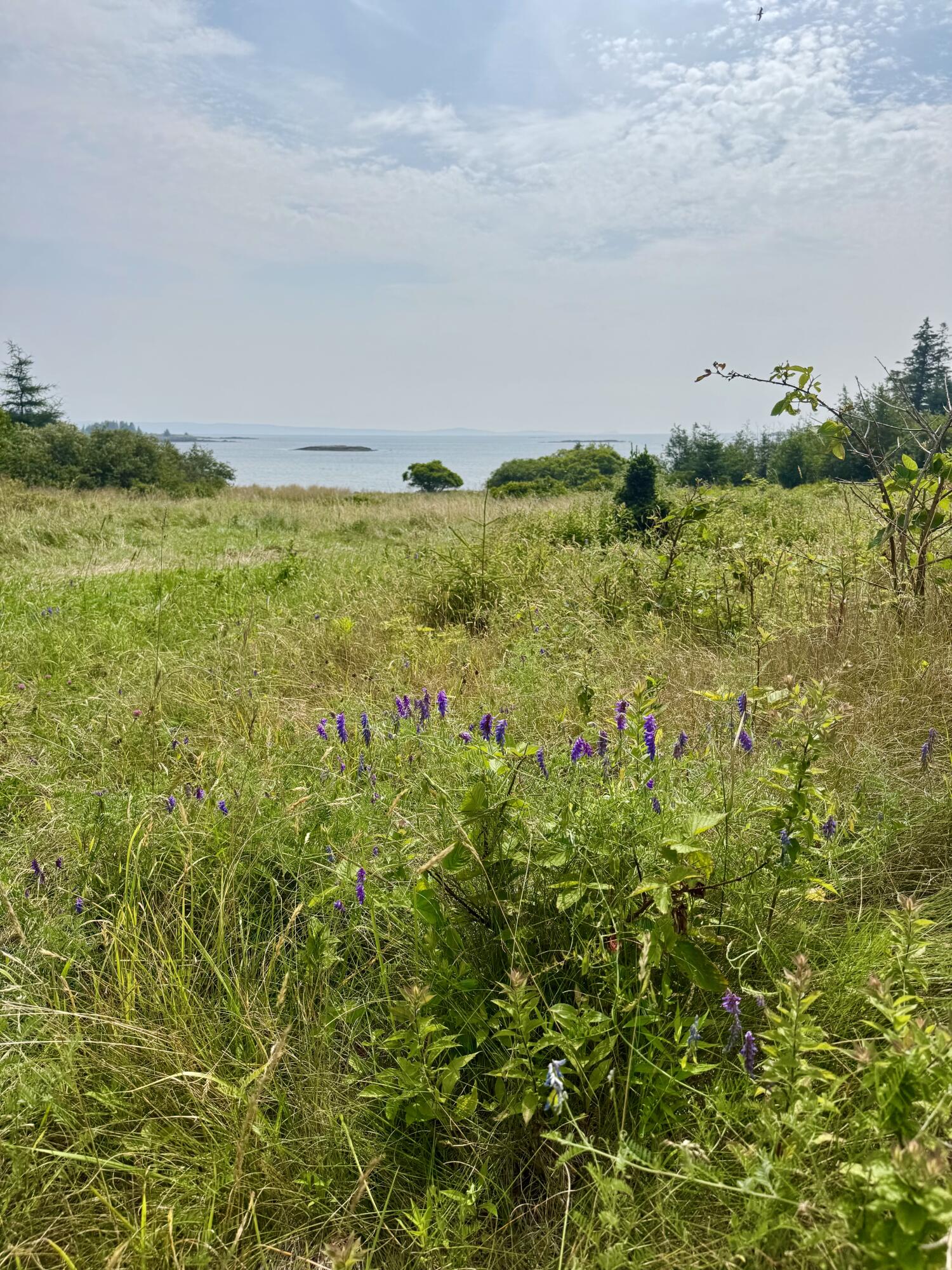 Lot #5 George Wright Road Vinalhaven ME 04863