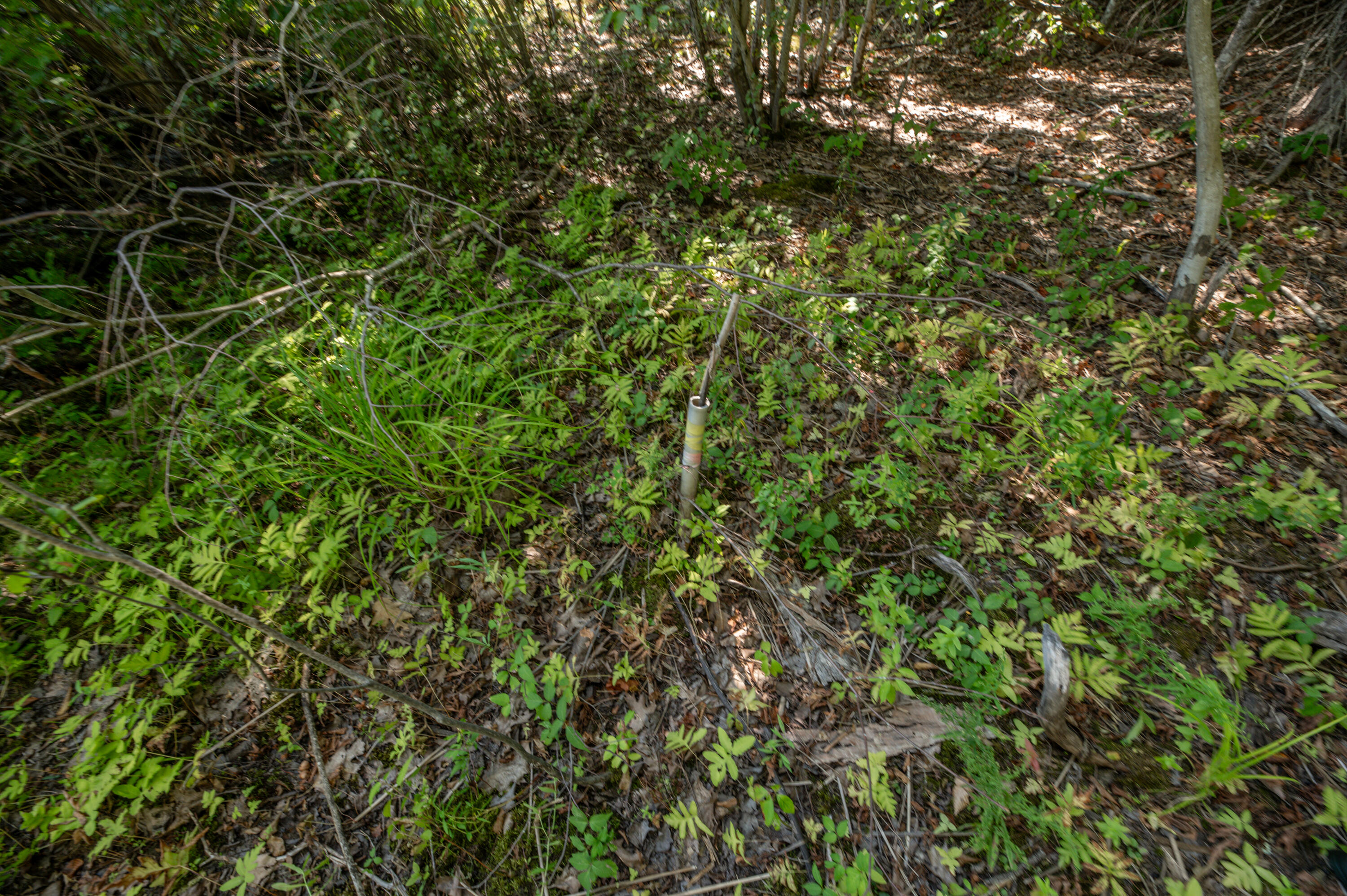 Lot 7 Cobbo Lane West Gardiner ME 04345