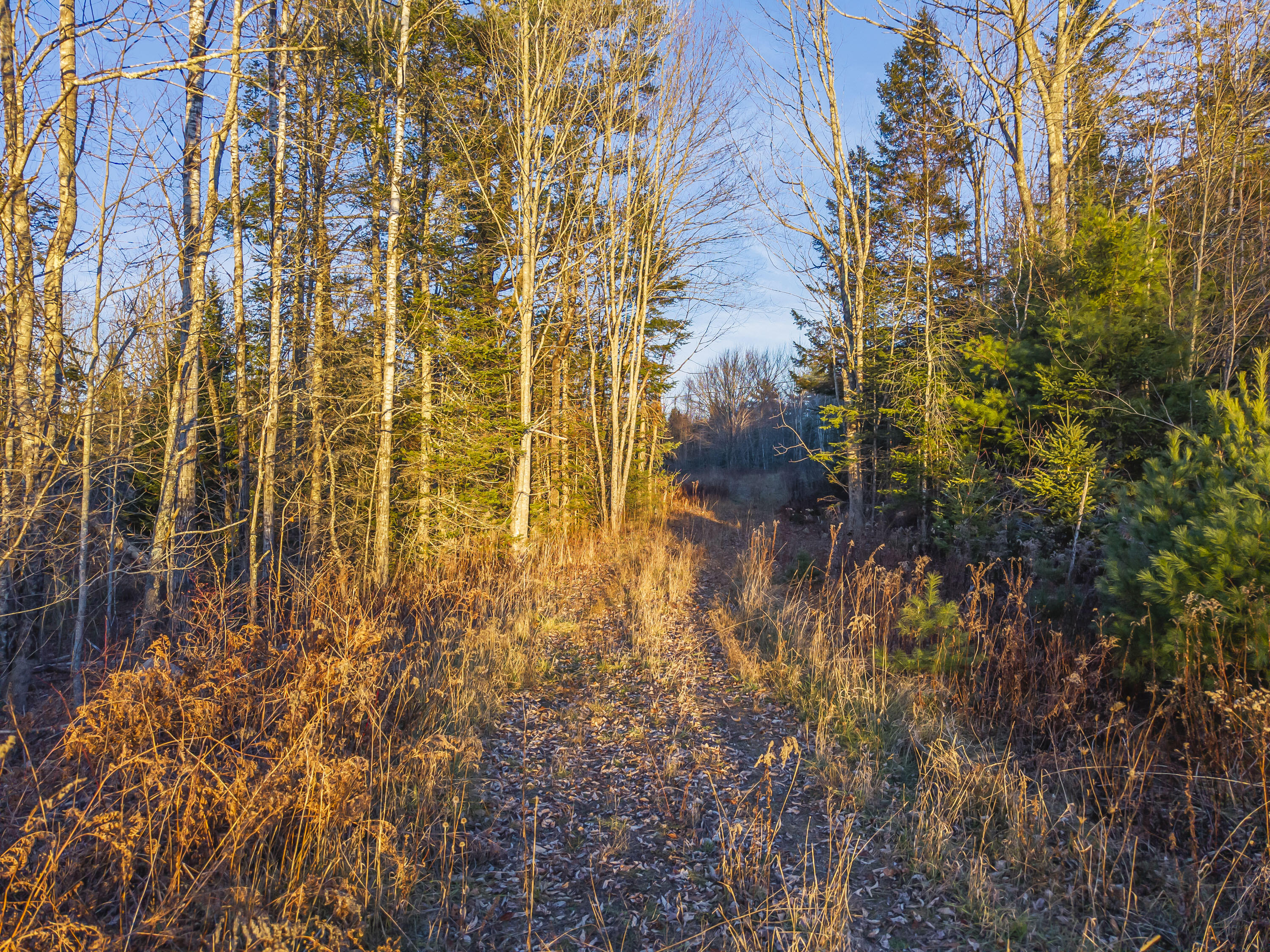 Lot B Reef Road Waldoboro ME 04572