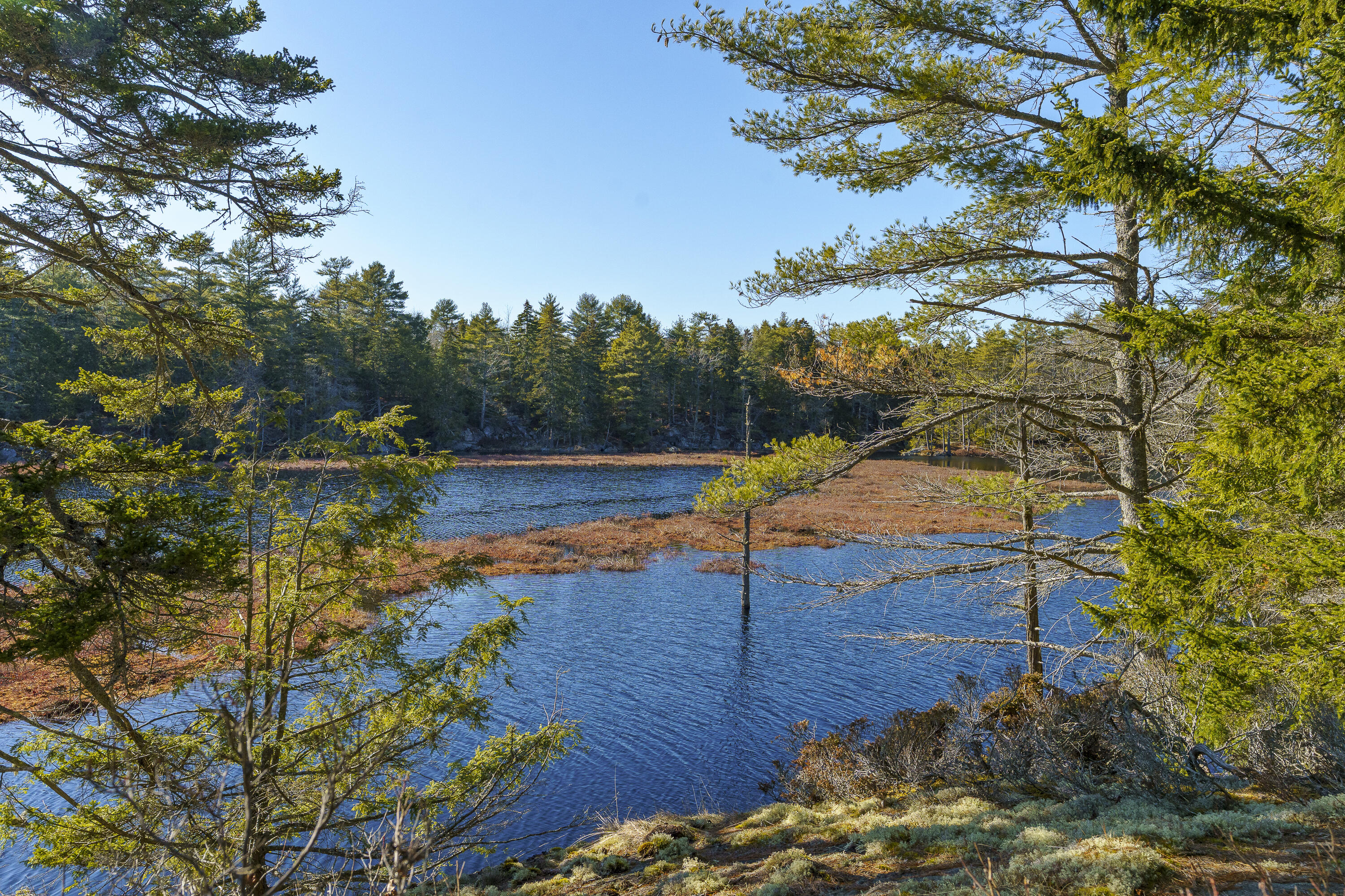 1357 Main Road Westport Island ME 04578