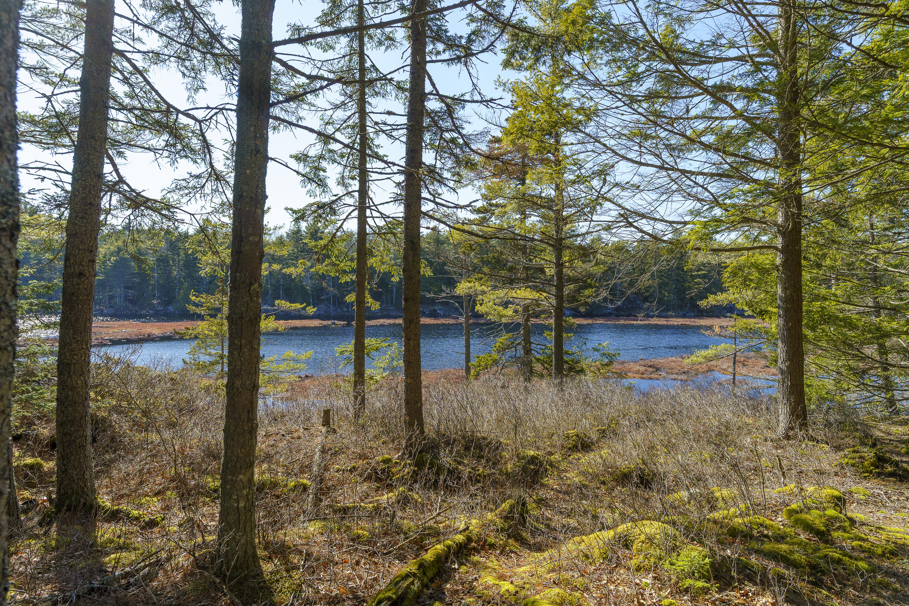1357 Main Road Westport Island ME 04578