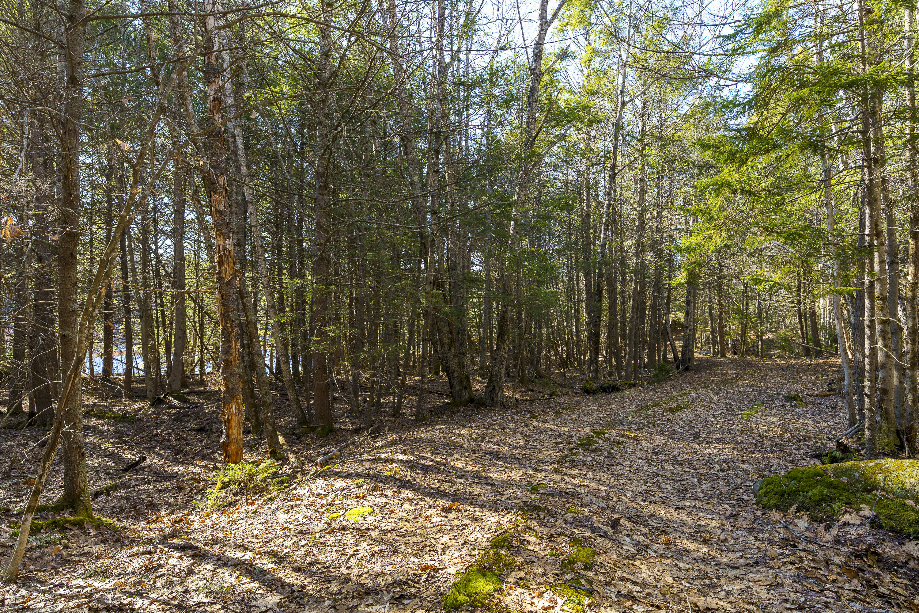 1357 Main Road Westport Island ME 04578