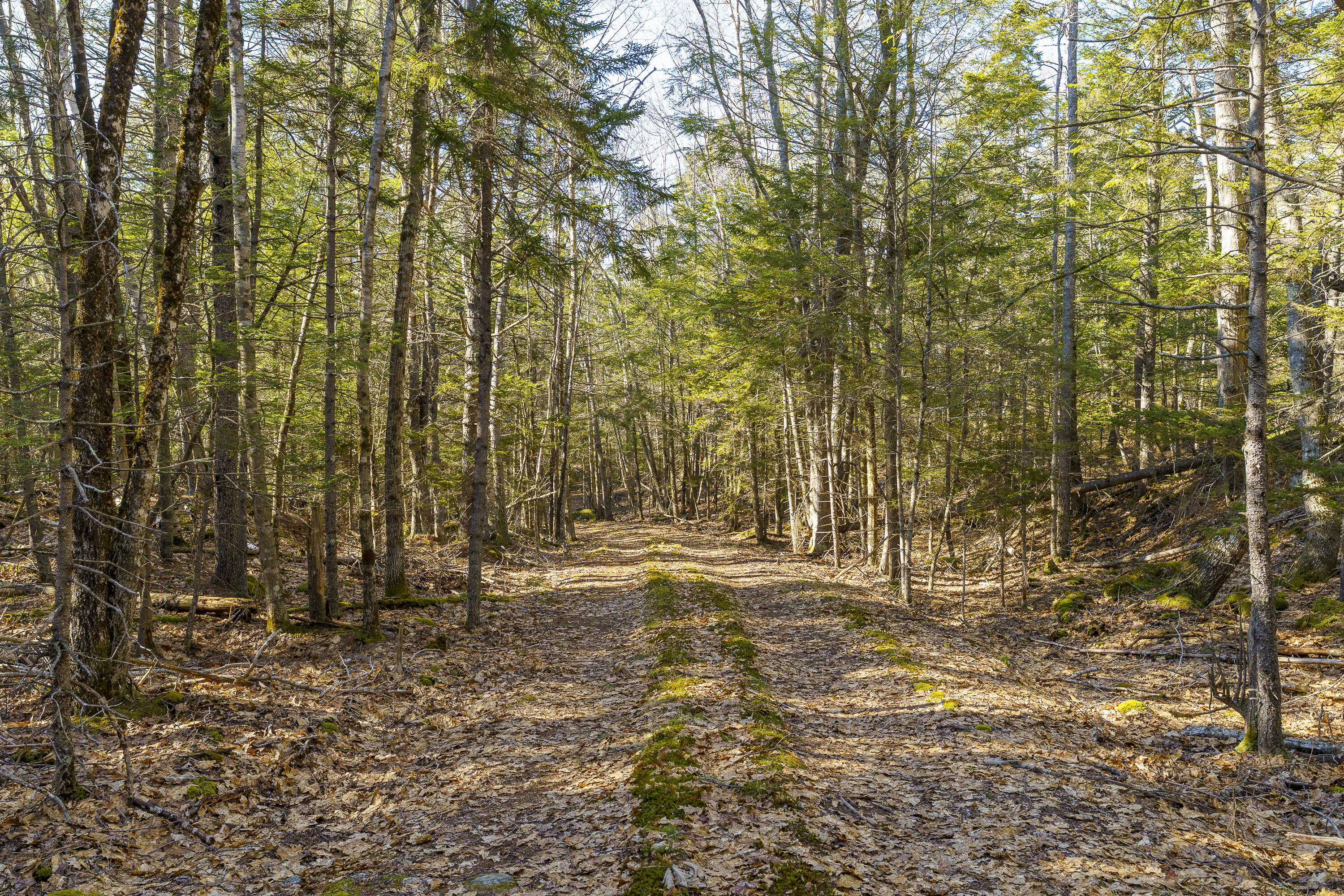 1357 Main Road Westport Island ME 04578
