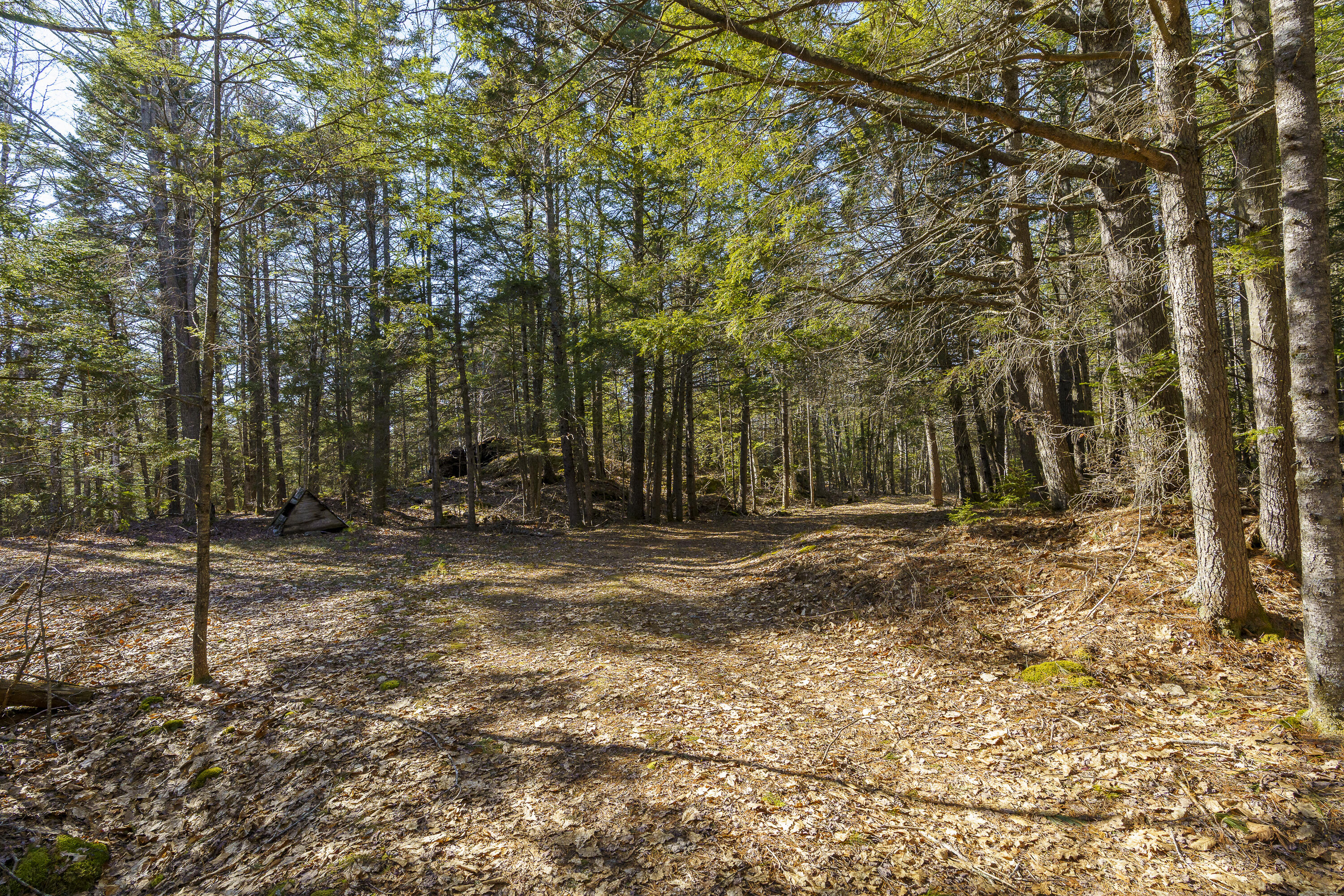 1357 Main Road Westport Island ME 04578