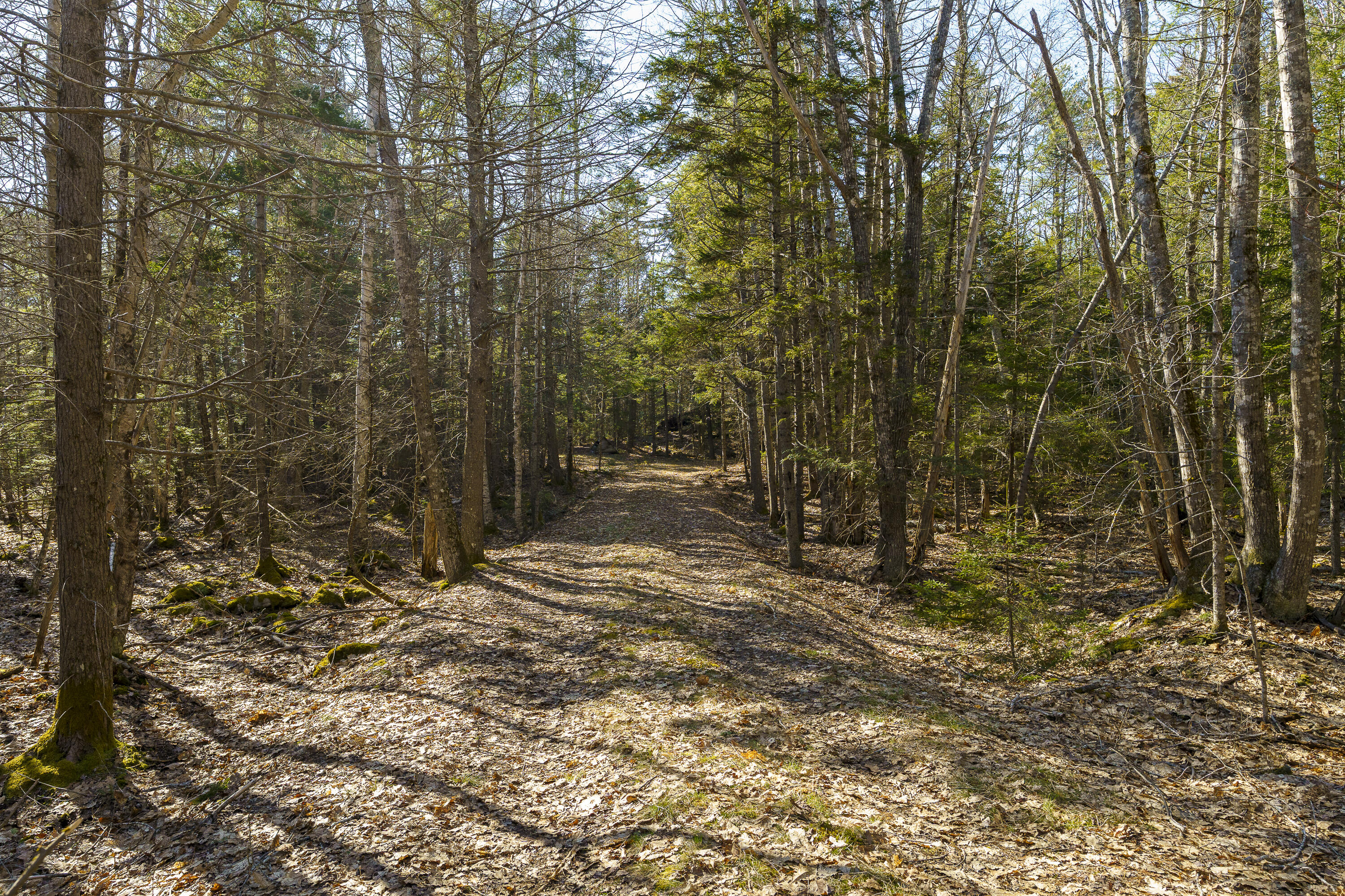 1357 Main Road Westport Island ME 04578