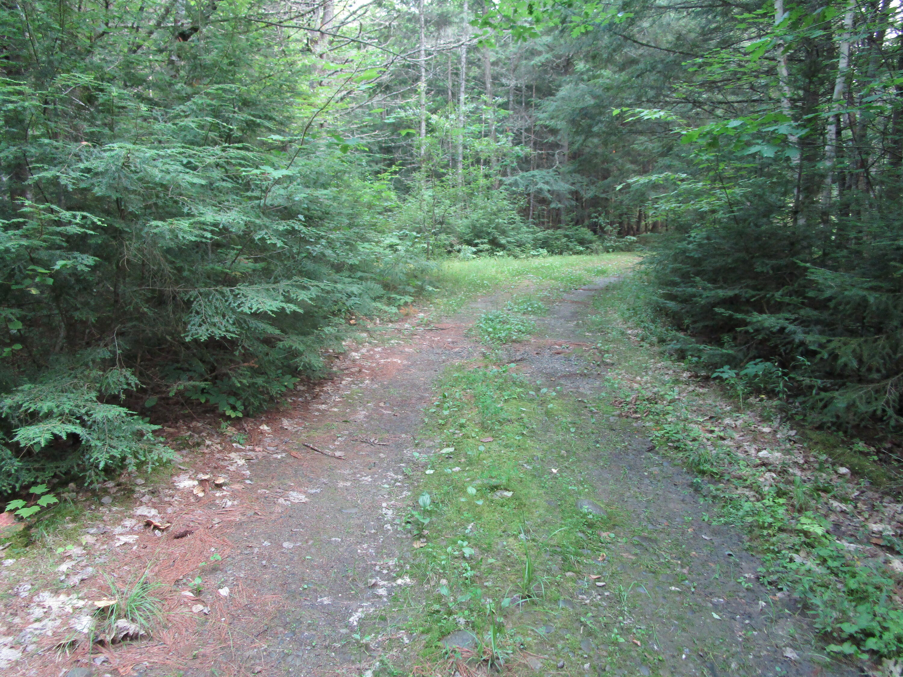 Map1l1410 Bray Circle Passadumkeag, ME