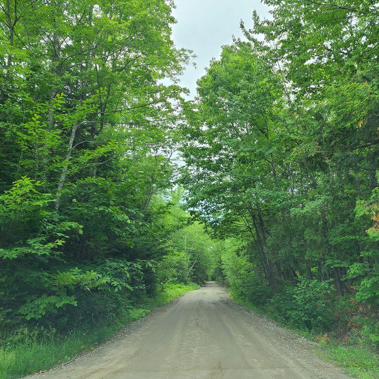 M8 L12 Shadagee Road, New Sharon ME Real Estate Listing MLS {g