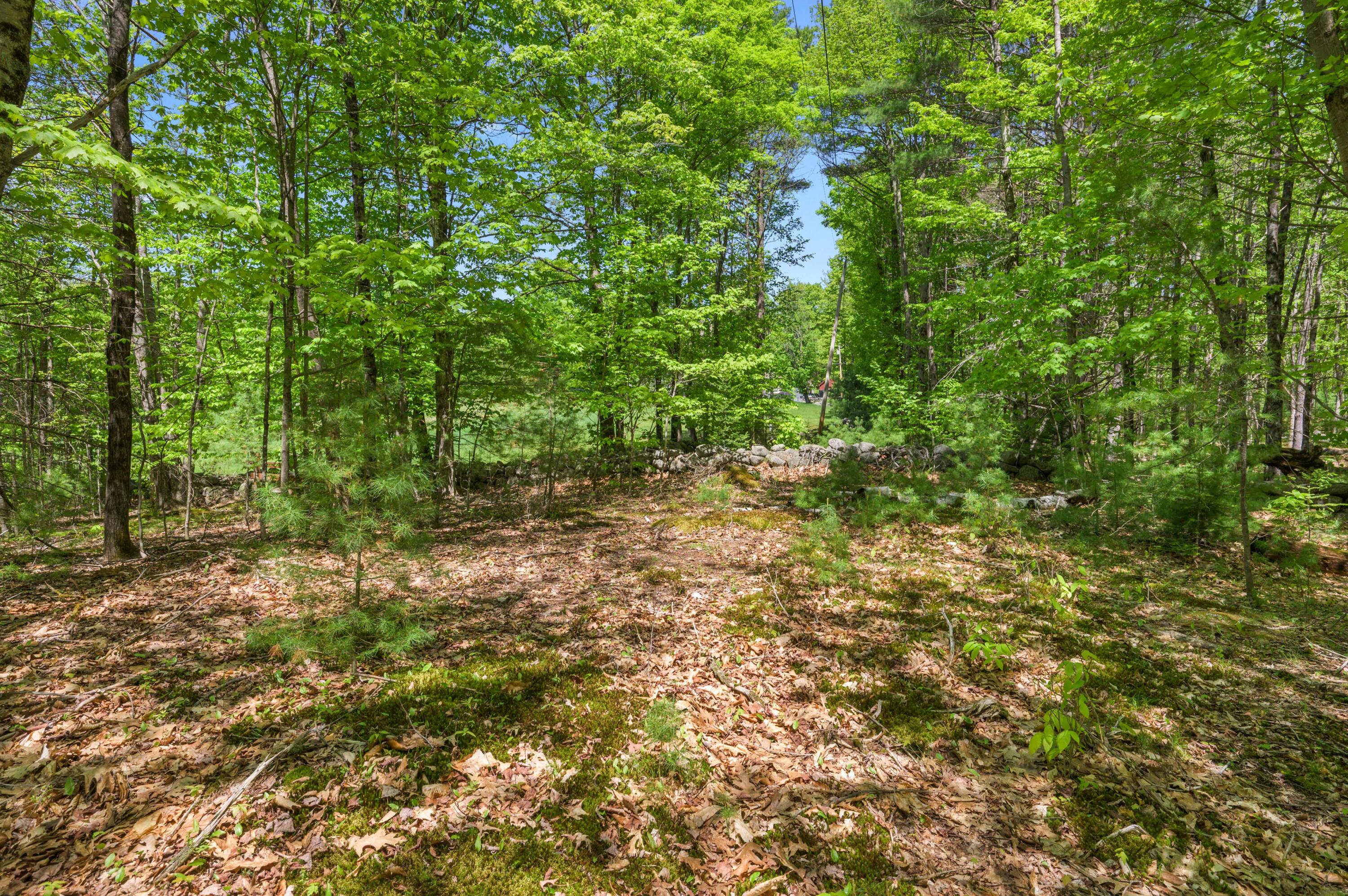 Lot 26 Rowe Hill Road Greenwood ME 04255