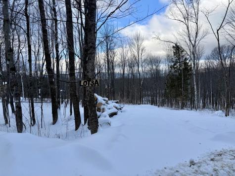 Lot 3a Center Hill Road Weld ME 04285
