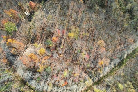 Lot 3a Center Hill Road Weld ME 04285