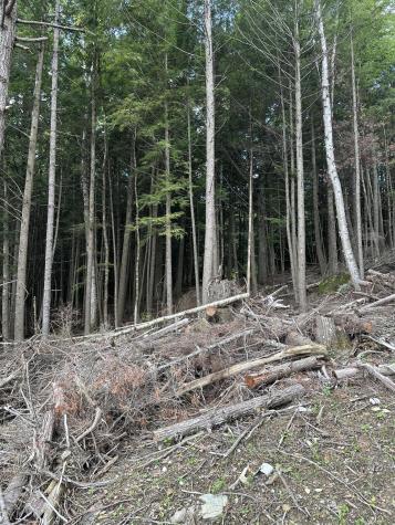 7 Klom Lane Garland ME 04939