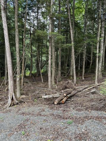 7 Klom Lane Garland ME 04939