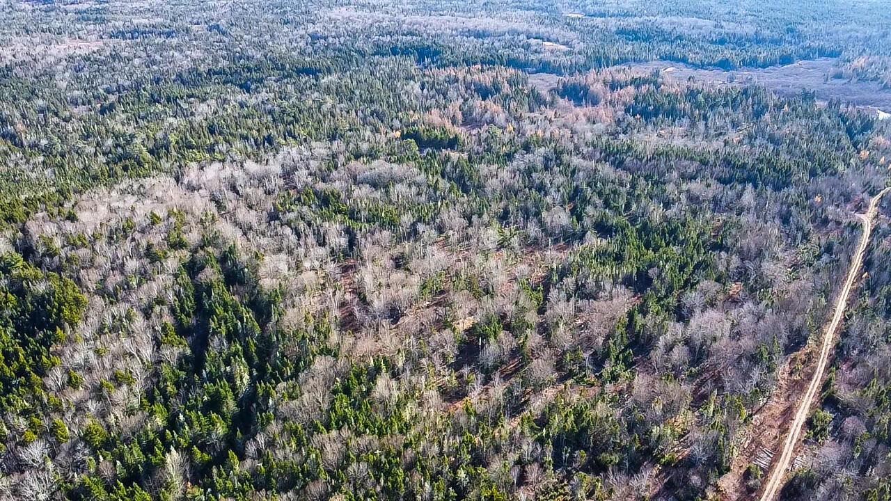 Map 04 Lots #2-15, 2-16 Yellow Birch Road Whiting ME 04691