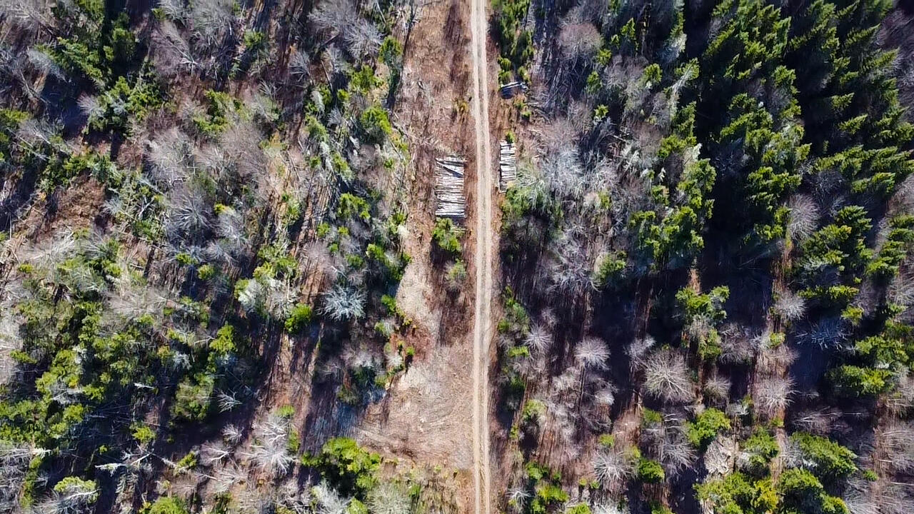 Map 04 Lots #2-15, 2-16 Yellow Birch Road Whiting ME 04691