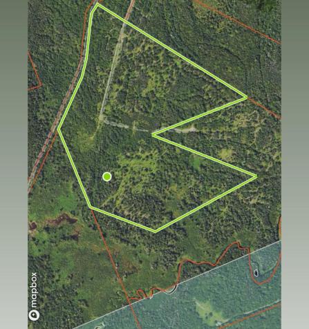 Map 04 Lots #2-15, 2-16 Yellow Birch Road Whiting ME 04691