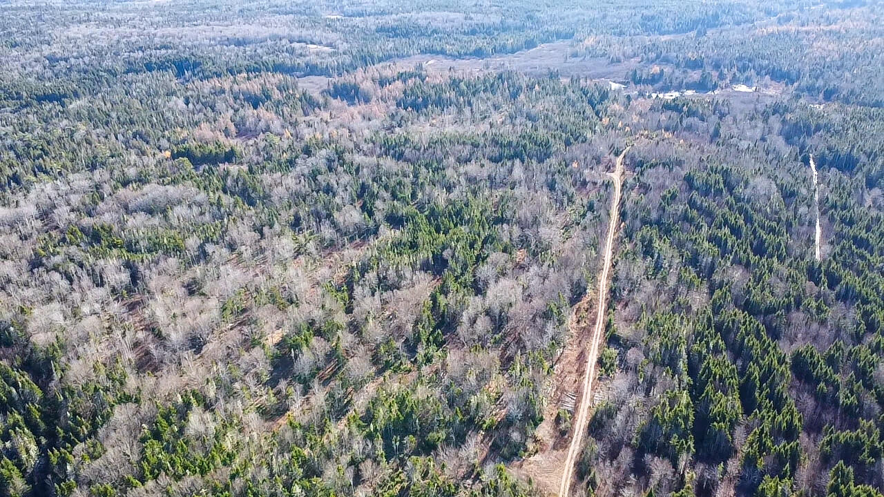 Map 04 Lots #2-15, 2-16 Yellow Birch Road Whiting ME 04691