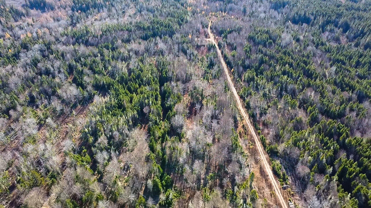 Map 04 Lots #2-15, 2-16 Yellow Birch Road Whiting ME 04691