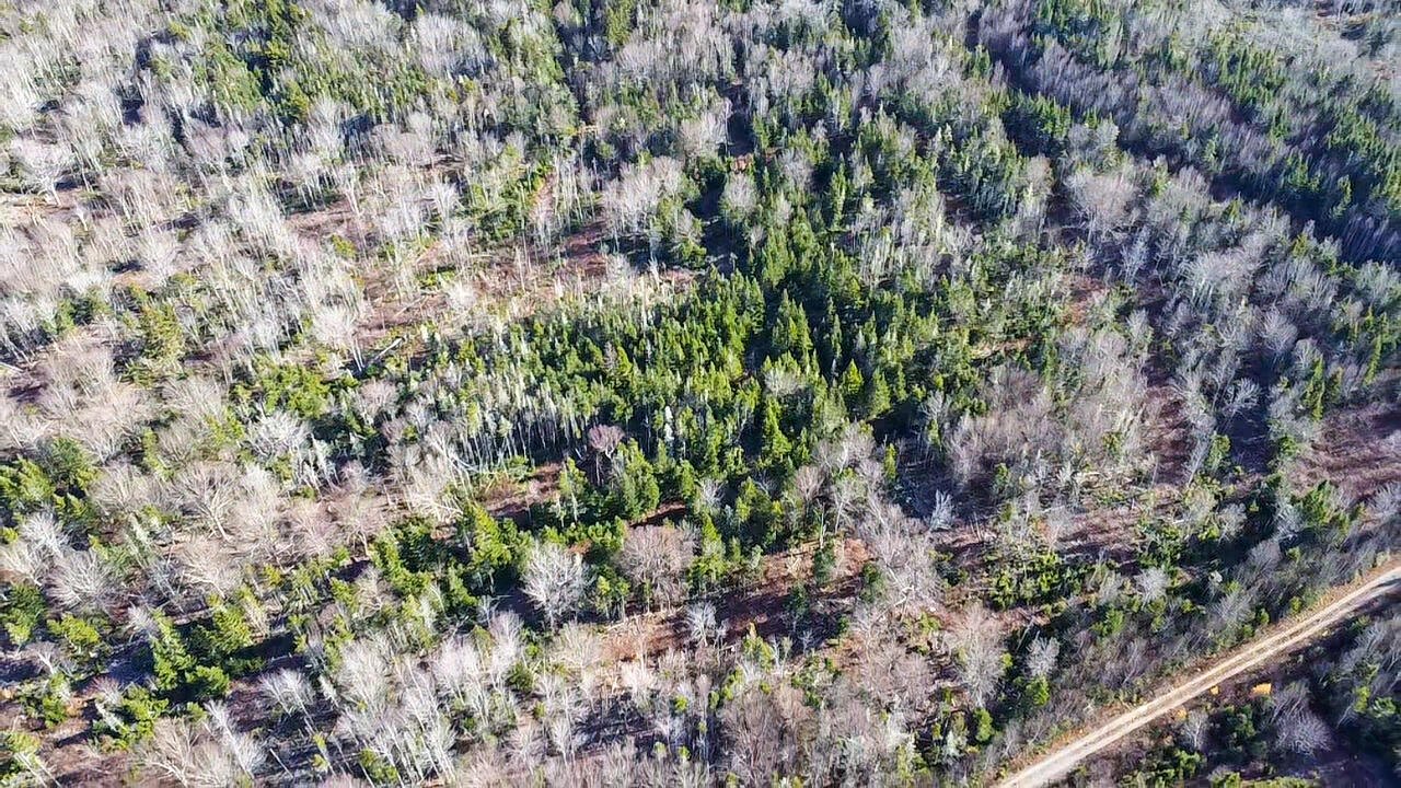 Map 04 Lots #2-15, 2-16 Yellow Birch Road Whiting ME 04691