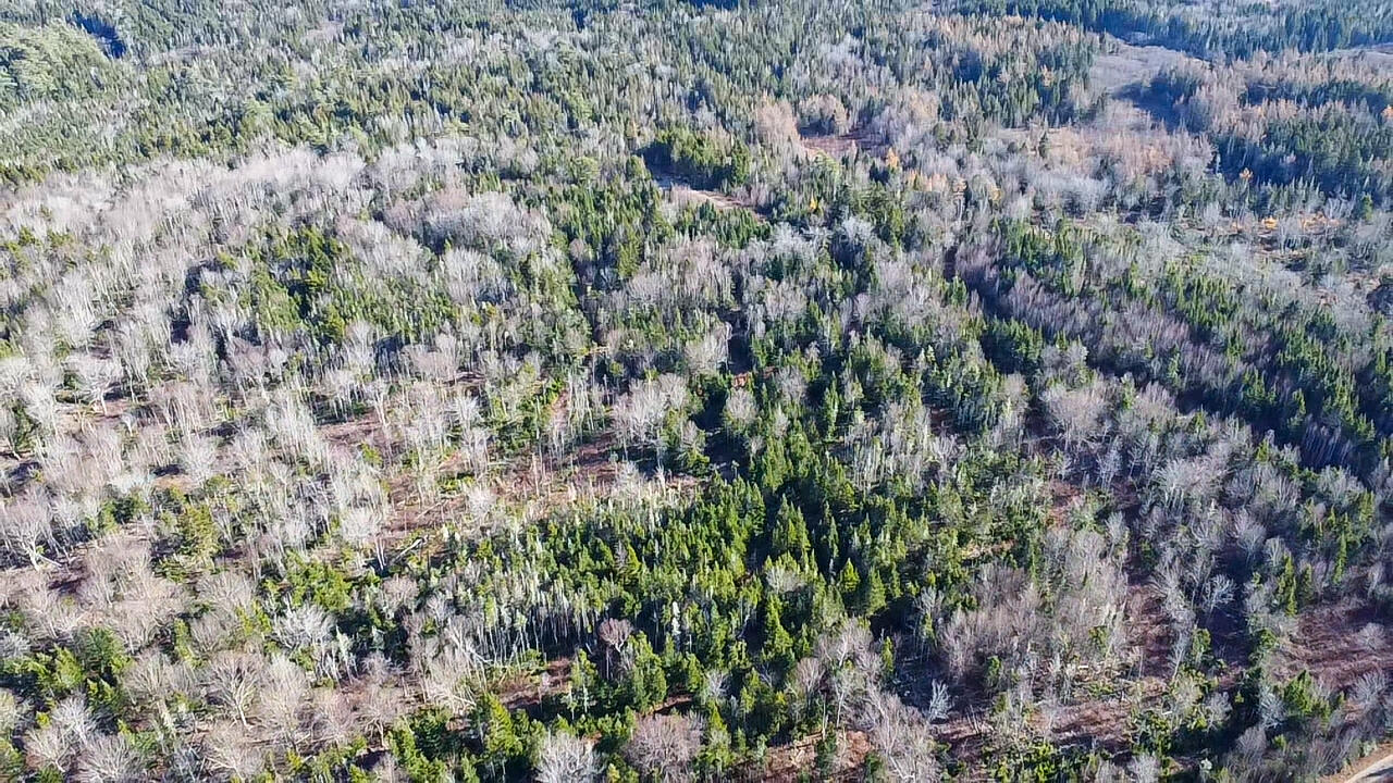 Map 04 Lots #2-15, 2-16 Yellow Birch Road Whiting ME 04691