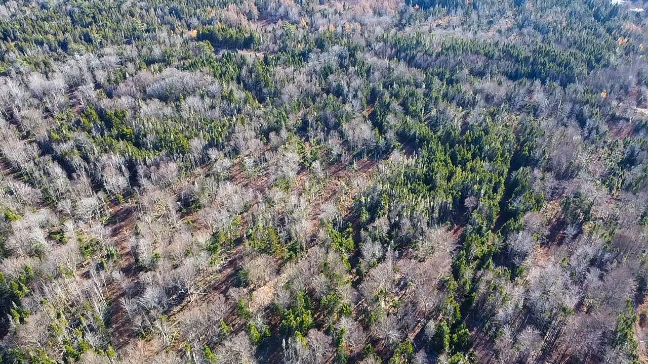 Map 04 Lots #2-15, 2-16 Yellow Birch Road Whiting ME 04691