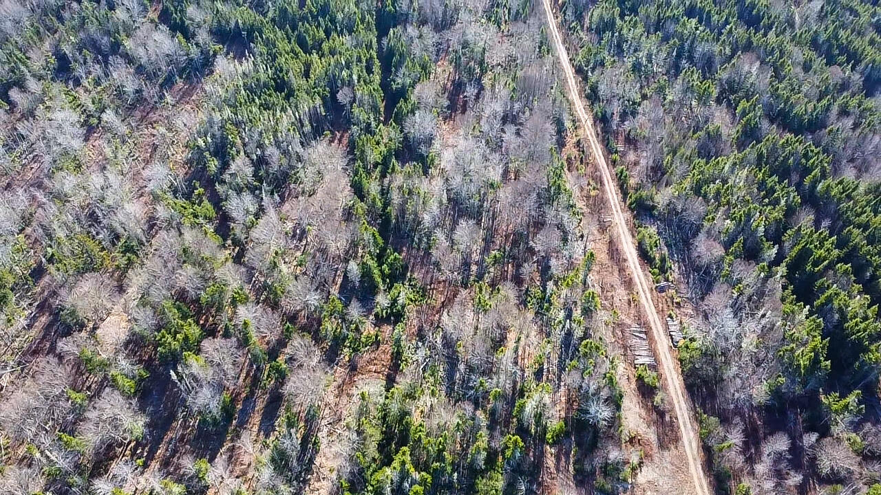 Map 04 Lots #2-15, 2-16 Yellow Birch Road Whiting ME 04691