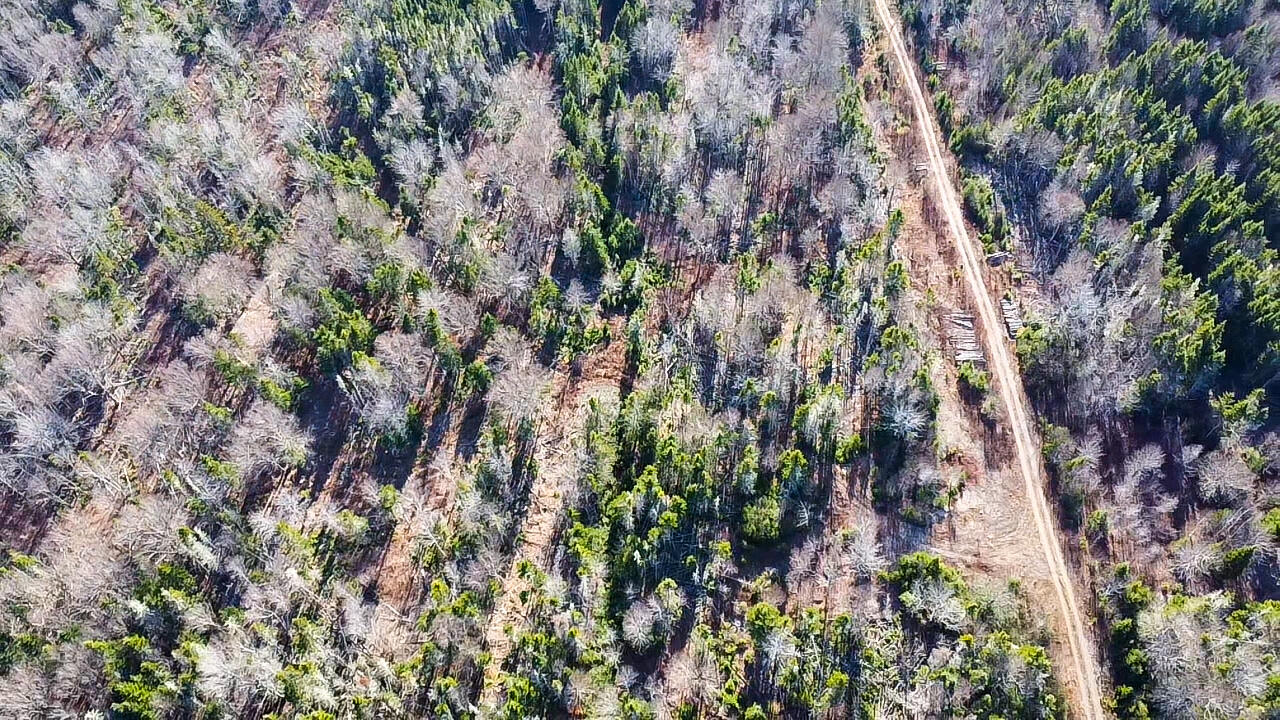 Map 04 Lots #2-15, 2-16 Yellow Birch Road Whiting ME 04691