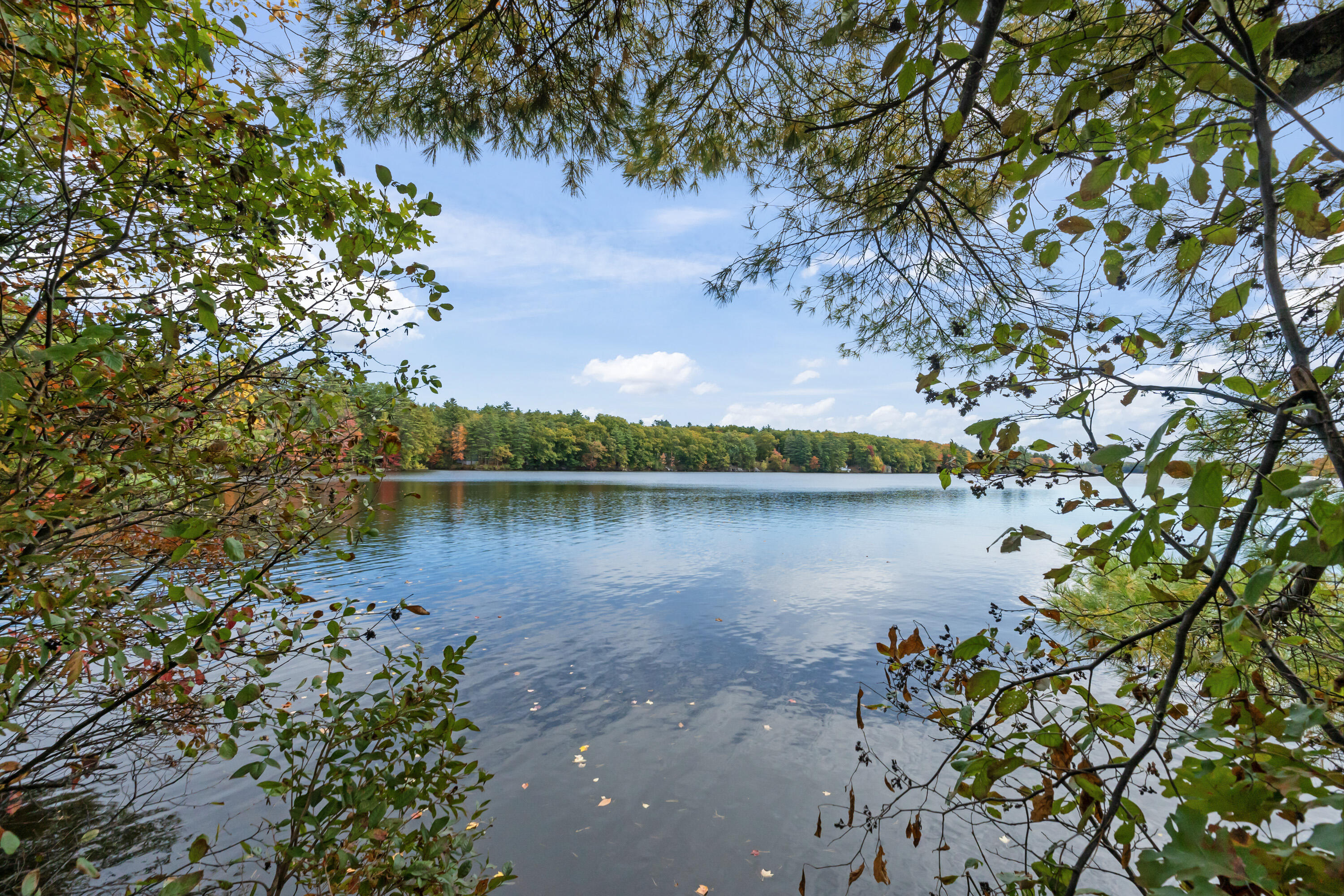 Tbd Branch View Terrace Alfred ME 04002