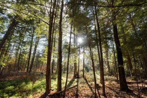 Tbd Branch View Terrace Alfred ME 04002