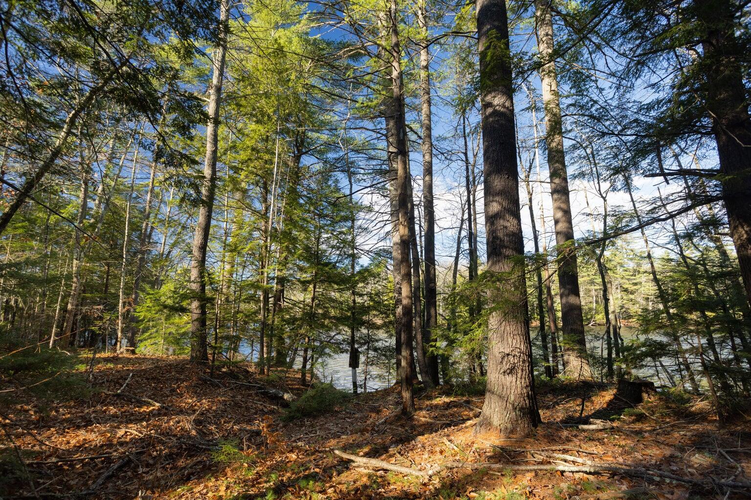 Tbd Branch View Terrace Alfred ME 04002