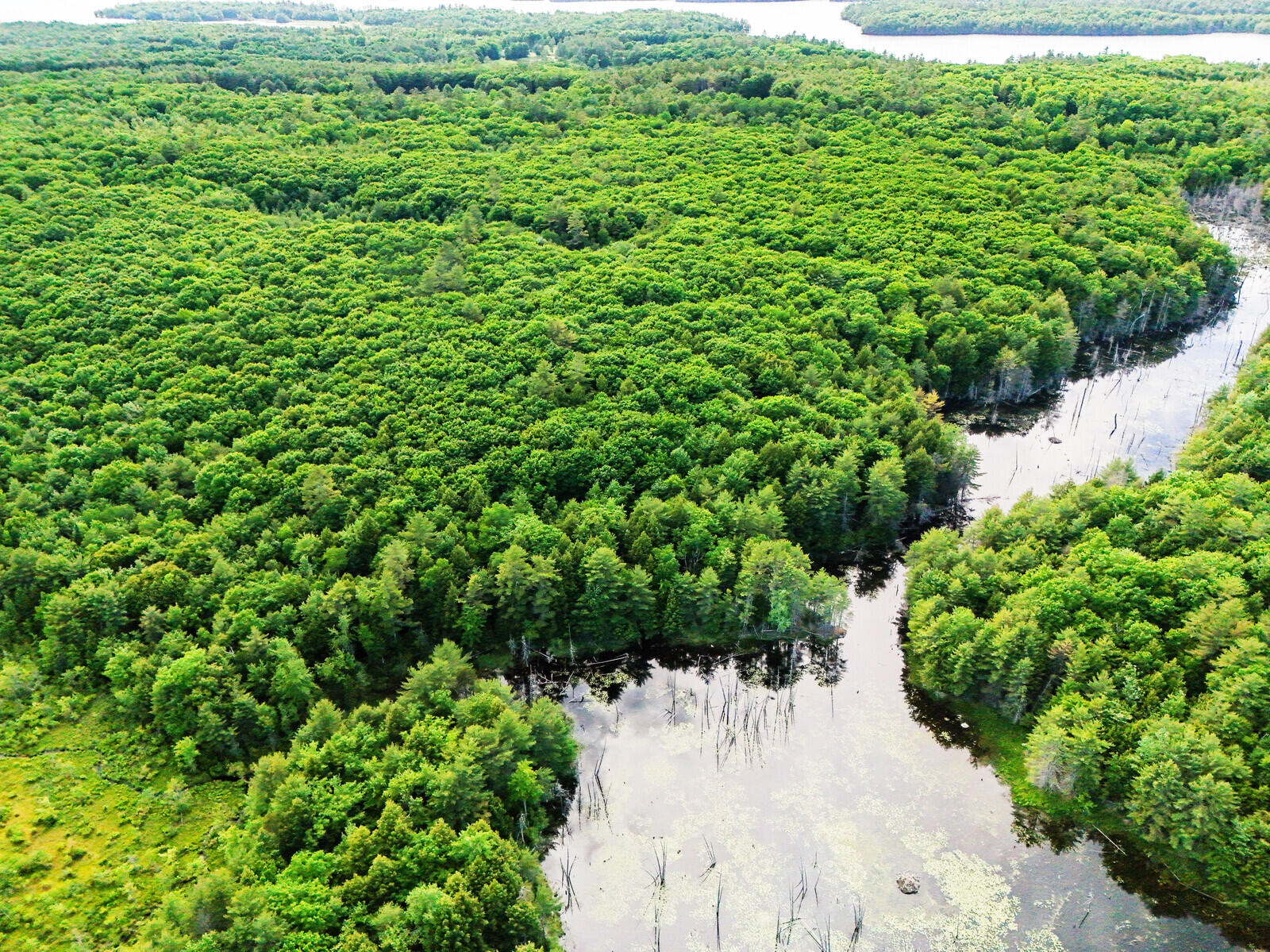 Tbd Pond Road Manchester ME 04351