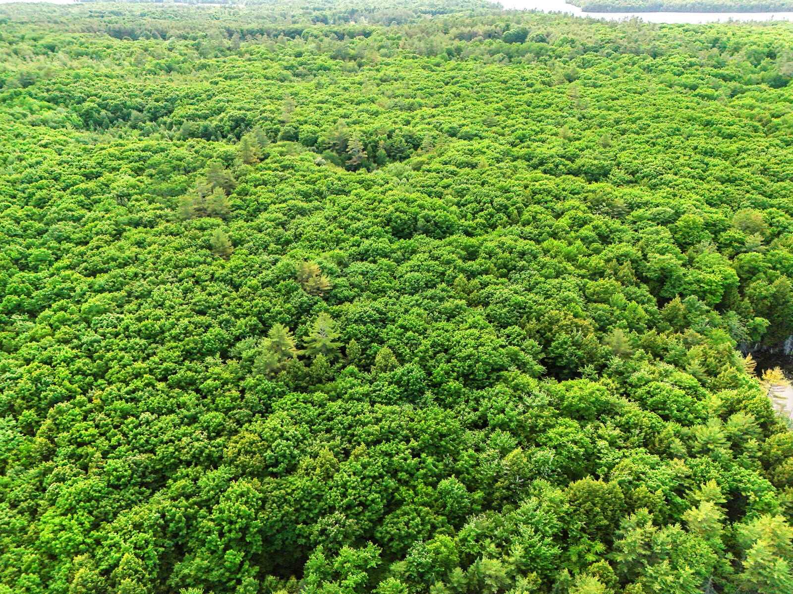 Tbd Pond Road Manchester ME 04351