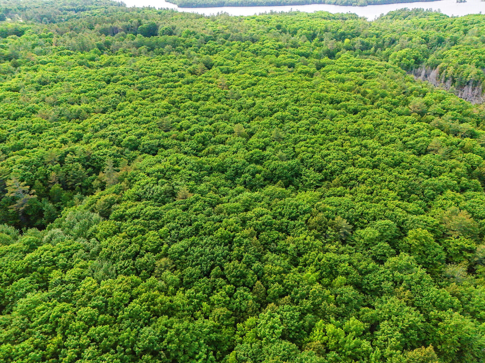 Tbd Pond Road Manchester ME 04351