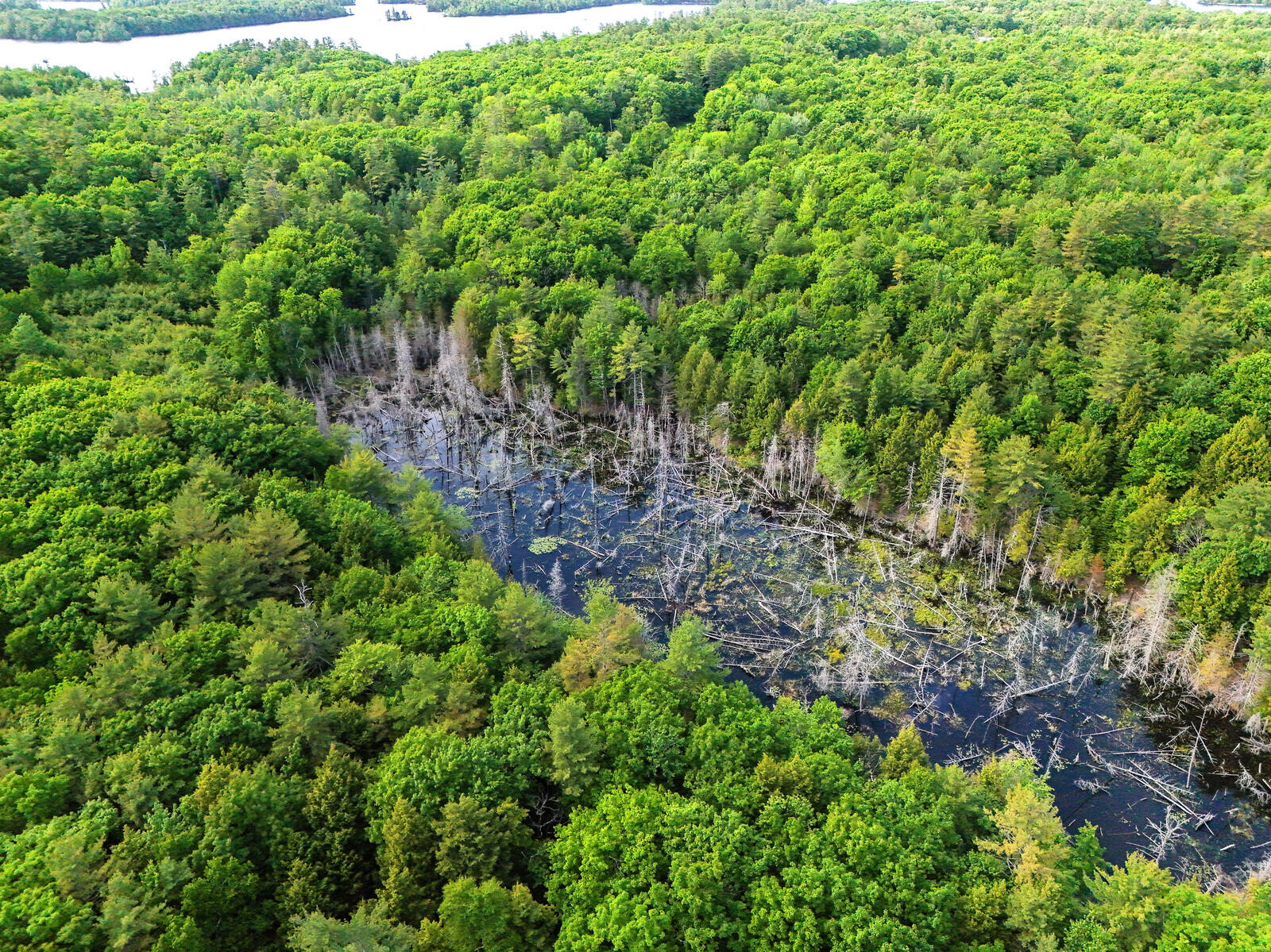 Tbd Pond Road Manchester ME 04351