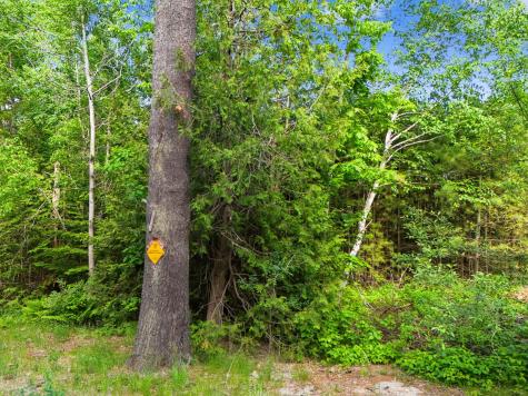 Tbd Pond Road Manchester ME 04351