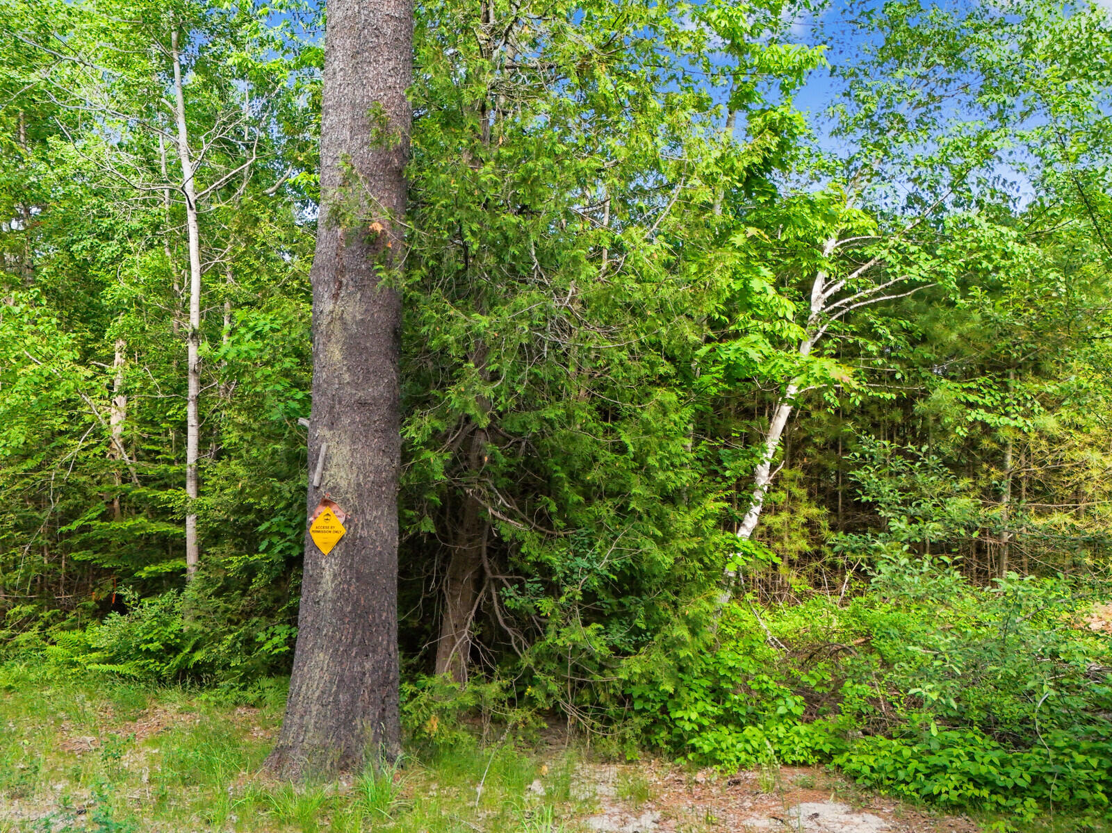 Tbd Pond Road Manchester ME 04351