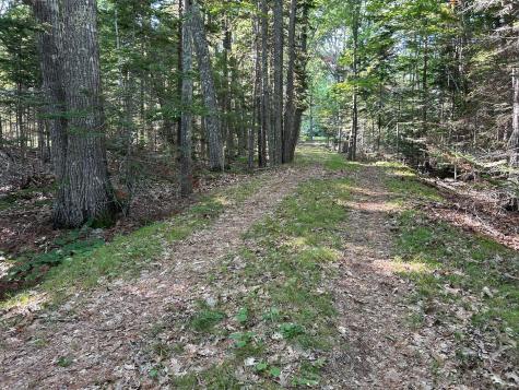 992 Surry Road Surry ME 04684