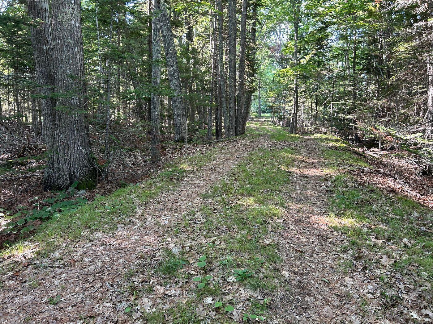 992 Surry Road Surry ME 04684