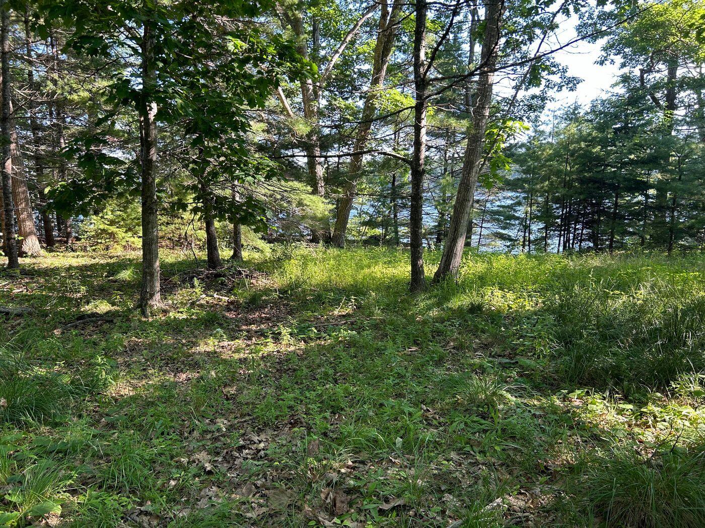 992 Surry Road Surry ME 04684