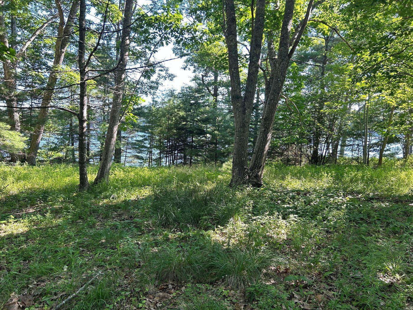 992 Surry Road Surry ME 04684