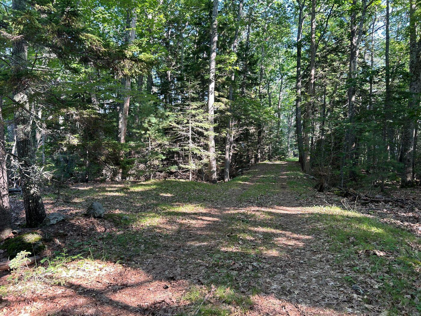 992 Surry Road Surry ME 04684