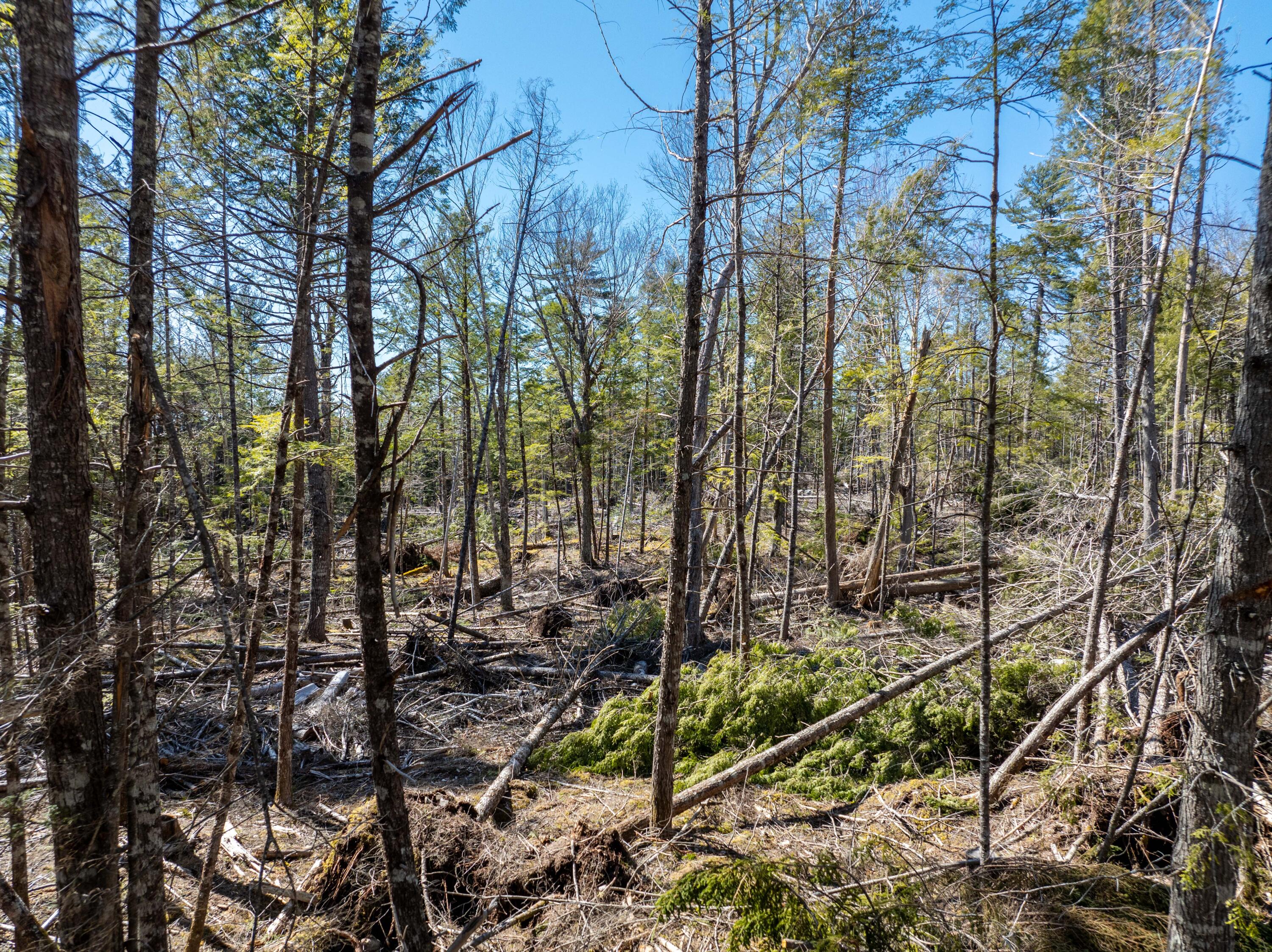 250 Long Lake Road Northfield ME 04654