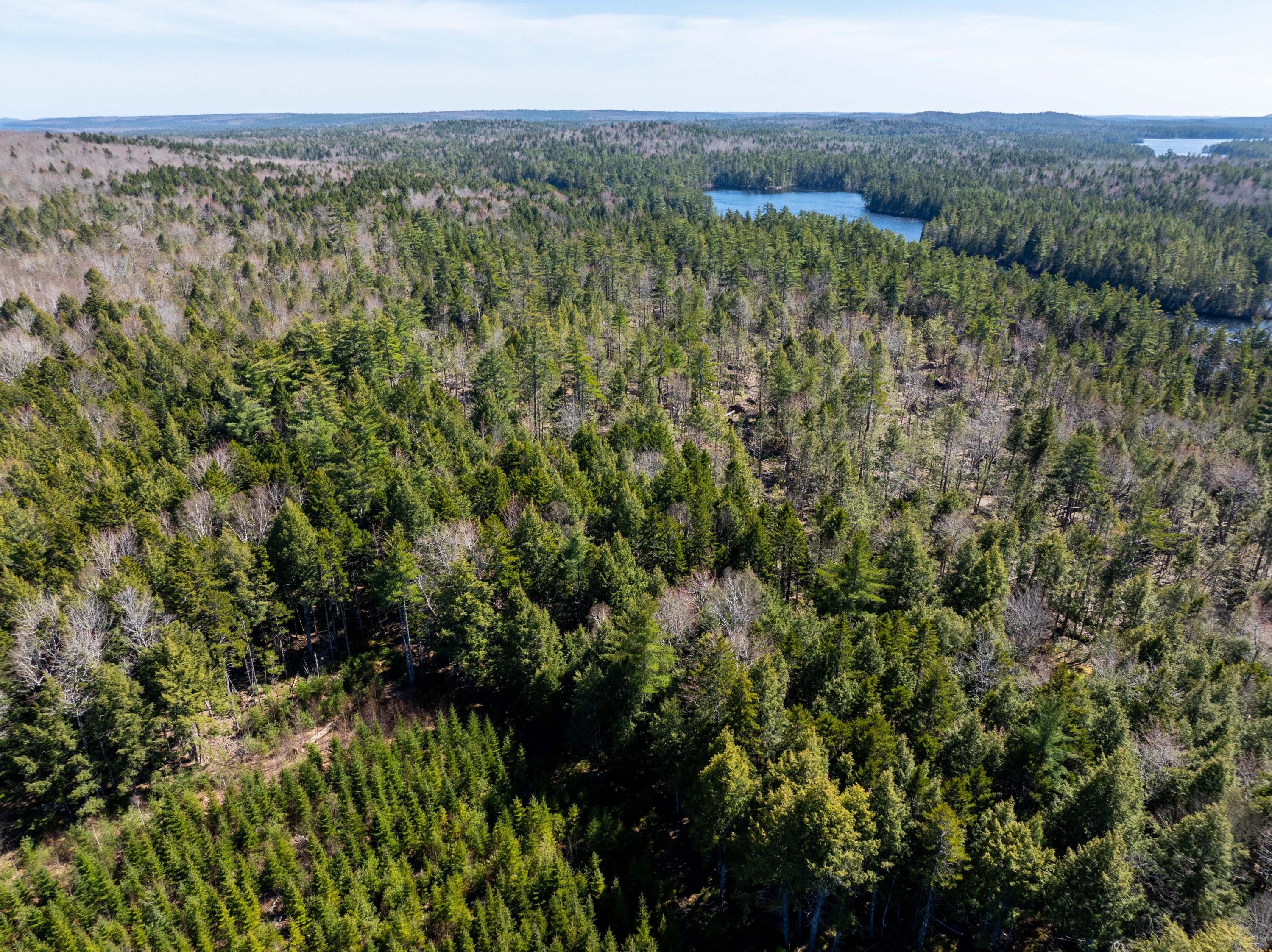 250 Long Lake Road Northfield ME 04654