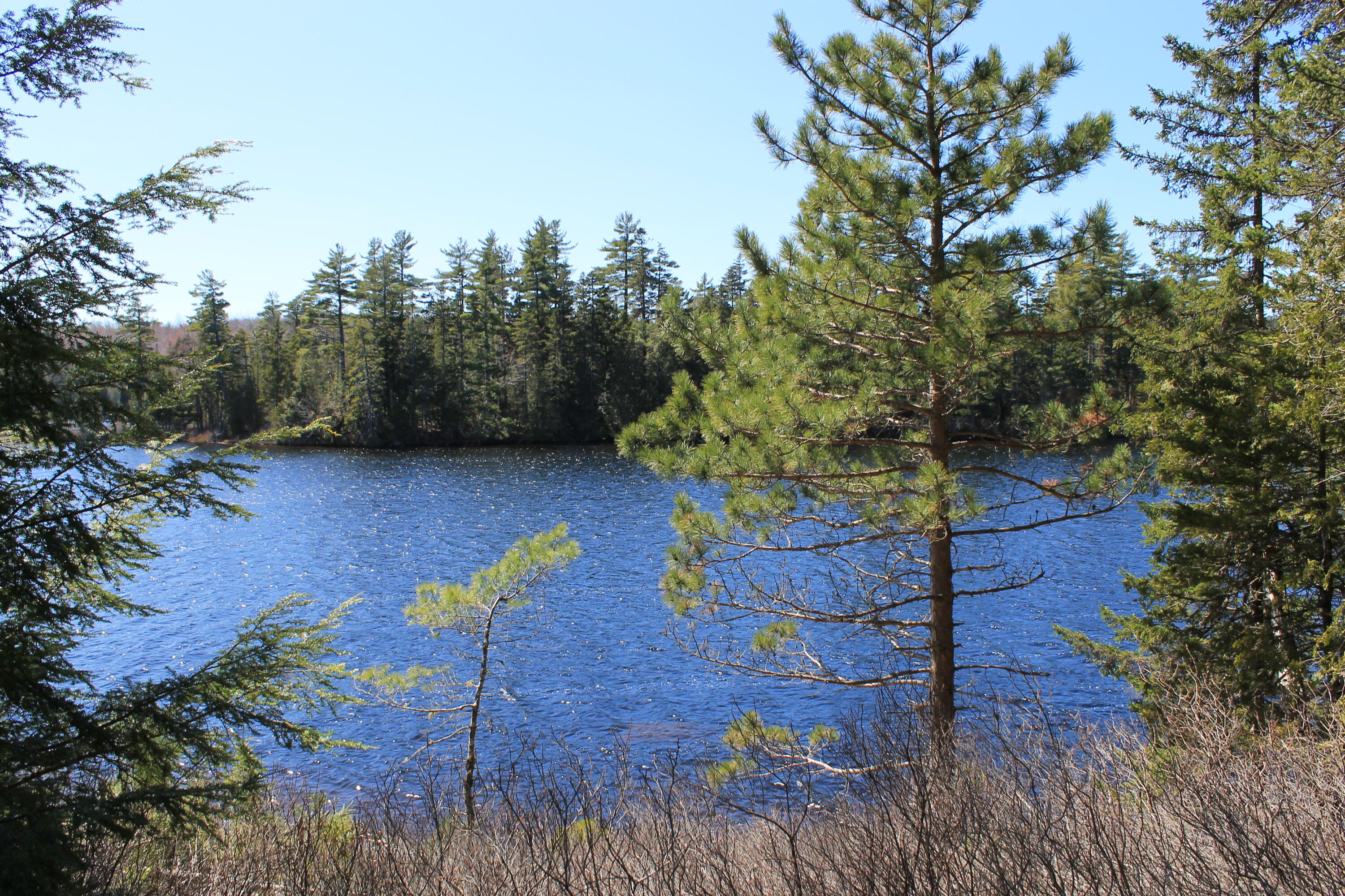 250 Long Lake Road Northfield ME 04654